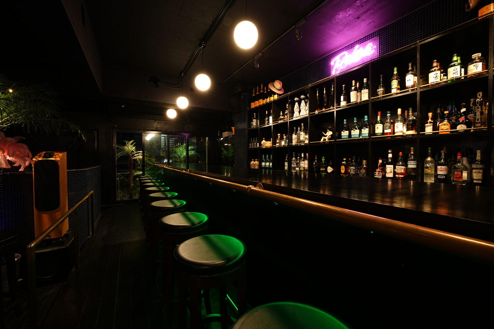 Bar Palms Counter